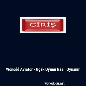 Wonodd Aviator - U&ccedil;ak Oyunu Nasıl Oynanır